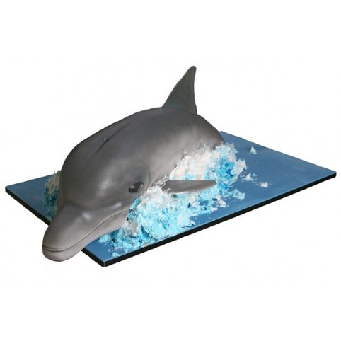 DOLPHIN 