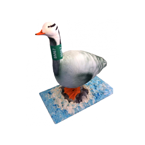 GOOSE 