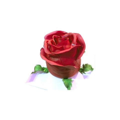 CHOCOLATE ROSE 
