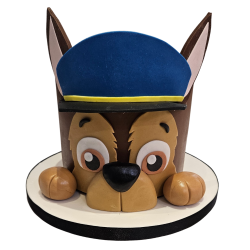 PAW PATROL CHASE