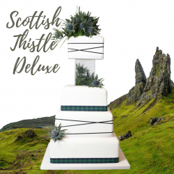 SCOTTISH THISTLE DELUXE