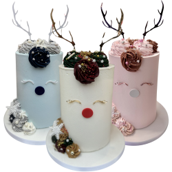 CHRISTMAS REINDEER CAKE IN CHOICE OF COLOURS