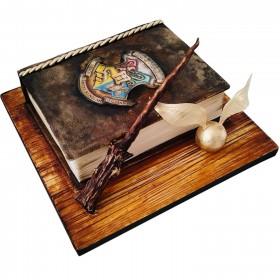 HARRY POTTER SPELL BOOK