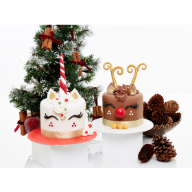 Christmas Unicorn or Red Nose Reindeer Cake Voucher