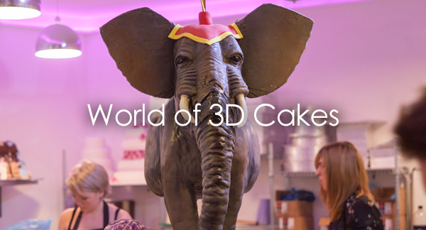 World of 3D Cakes